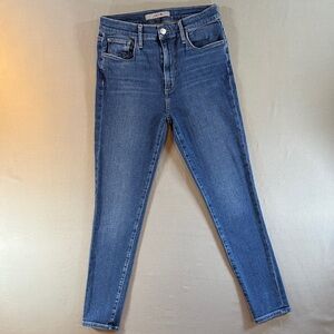 Joe's Jeans Diane Straight Leg Mid-Rise Medium Wash Blue Denim Size 28